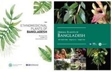 Tripple Five (555) Project