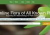 World Flora Online (WFO)