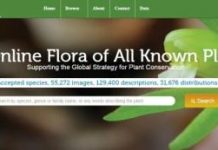 World Flora Online (WFO)