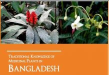 Traditional Knowledge of Medicinal Plants in Bangladesh. Traditional Knowledge of Medicinal Plants in Bangladesh
