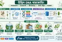 উদ্ভিদ DNA বারকোডিং: আধুনিক উদ্ভিদ শনাক্তকরণ, জীববৈচিত্র্য গবেষণা ও ঔষধি উদ্ভিদের প্রামাণিকতার নতুন দিগন্ত